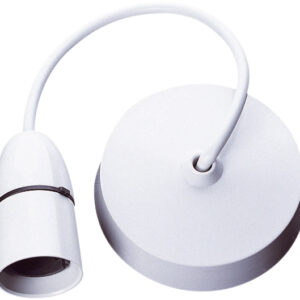 T2 Pendant Lamp Holder with Ceiling Rose 100W