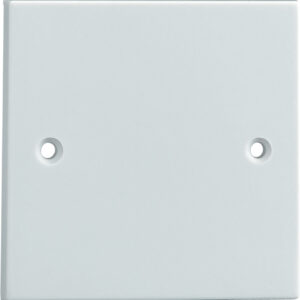 Single Blanking Plate