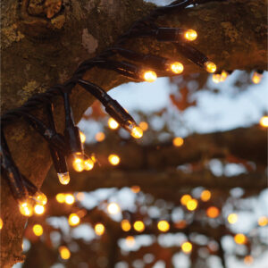 Eagle Connect Copper Gold Cluster Lights Black Rubber