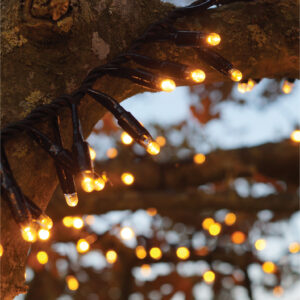 Eagle Connect Copper Gold Cluster Lights Black Rubber