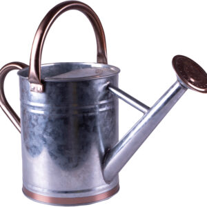 Metal Watering Can with Sprinkler Nozzle and 4 Litre Capacity
