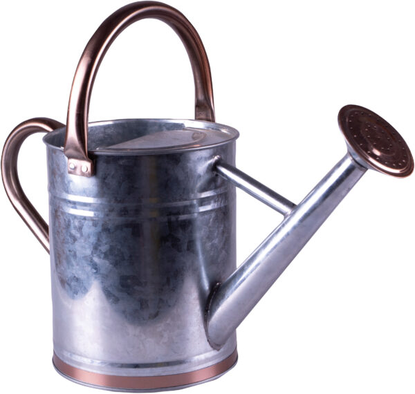 Metal Watering Can with Sprinkler Nozzle and 4 Litre Capacity