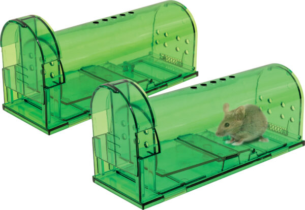 St Helens Home and Garden Small Humane Trap to Catch Mice and other Rodents - Pack Of 2