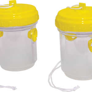 St Helens Home and Garden Non-Toxic Flying Insect Trap - Pack Of 2