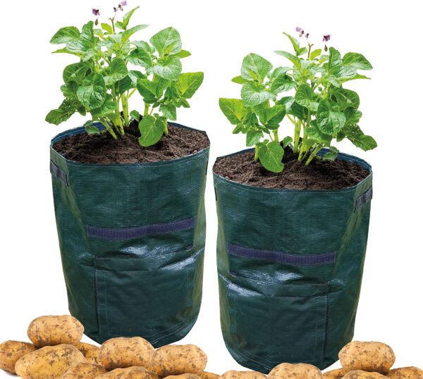 St Helens Home and Garden Potato Grow Bag - Pack of 2