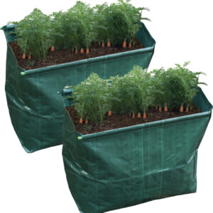 St Helens Home and Garden Carrot Planter - Pack of 2