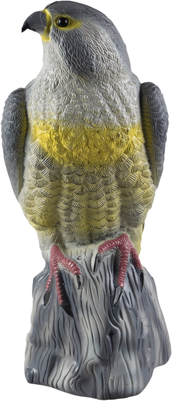 St Helens Home and Garden Life-Sized Decoy Eagle