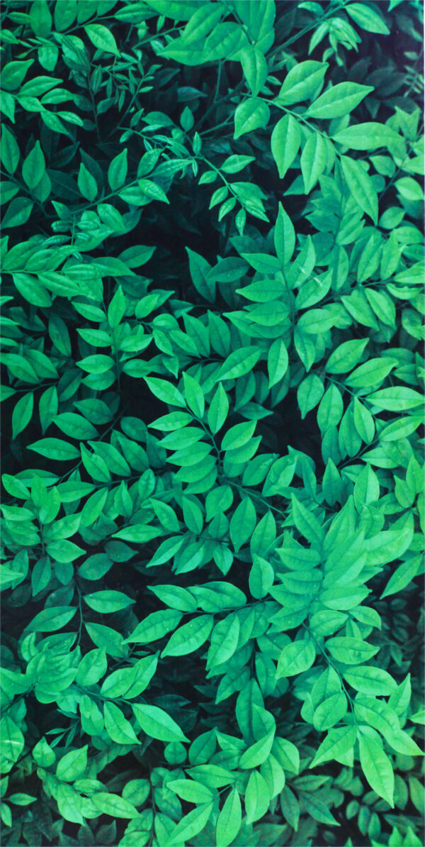 Wheelie Bin Camouflage Stickers - Hedge