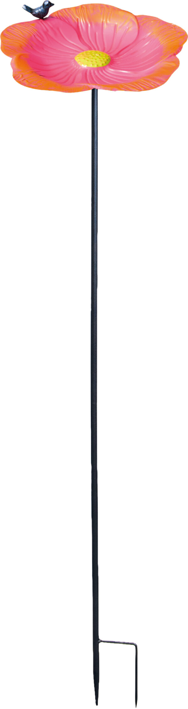 St Helens Home and Garden Ornamental Free Standing, Weather Resistant, Easy Assemble Bird Bath and Feeder