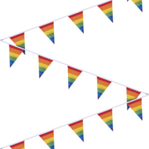 Rainbow Pride Bunting - 10 Metre Length with 35 Individual Flags