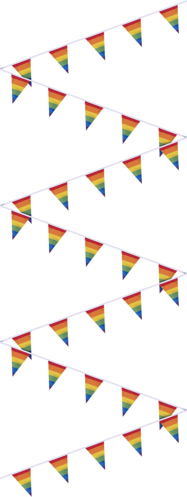 Rainbow Pride Bunting - 10 Metre Length with 35 Individual Flags