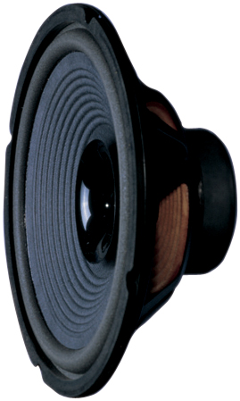 SoundLab 10 Chassis Speaker 40W (8 Ohm)