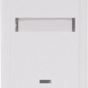 Single M245 Surface Outlet.