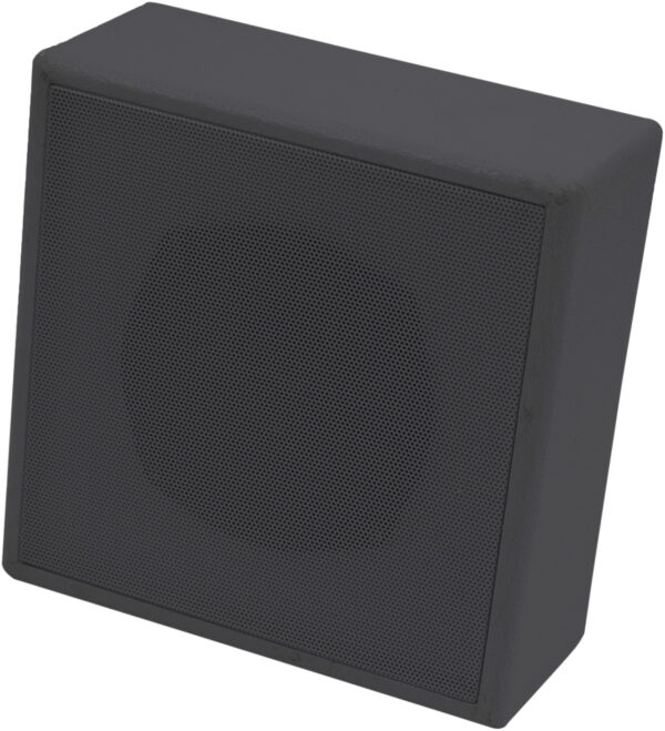 Eagle 6W 100V Black Speaker