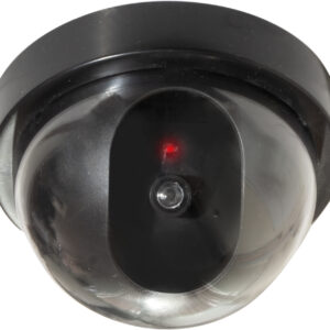 Eagle Dummy Dome Surveillance Camera