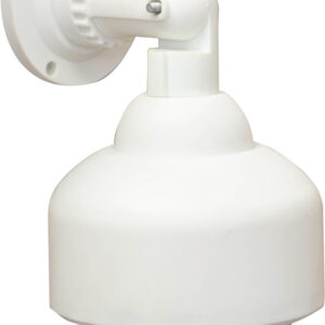 Eagle Dummy Dome Surveillance Camera