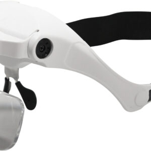 Eagle Magnifier Glasses